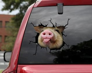 3D Pig Car Decal