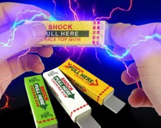 Shock-a-Chew: The Electric...