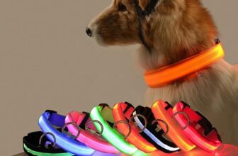 Nylon LED Safety Dog Leash