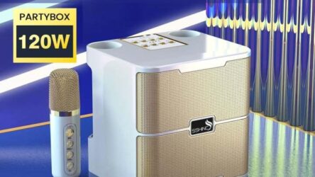 Portable Karaoke Bluetooth Speaker with Dual Rechargeable Wireless Microphones