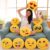 Plush Emoji Cushion Pillow